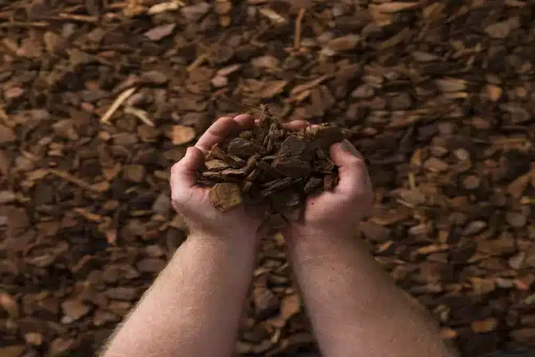 Can You Get Mulch in Bulk & How to Do It Right? Get Mulch in Bulk